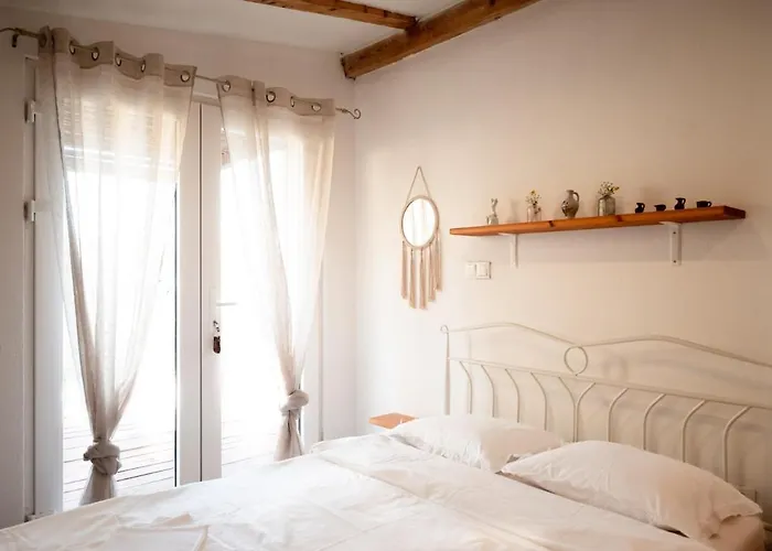 Olive House Rezo